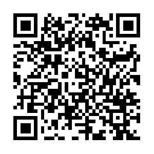 Forensicaccountingandauditingtraining.info QR code