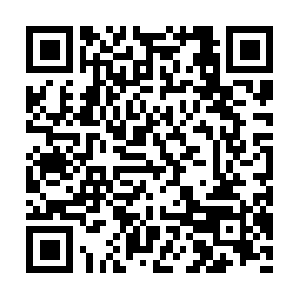 Forensiccounselorcertificationboard.com QR code