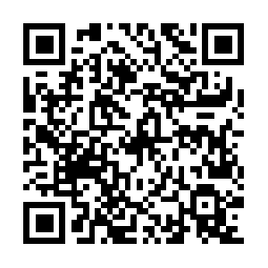 Formalsheettreatmenttribetechnica.net QR code