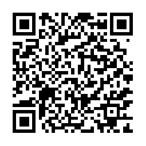 Fortheloveofcocoorganicpetproducts.com QR code