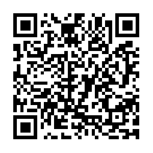 Fortheloveofhealthnutritionalconsulting.com QR code