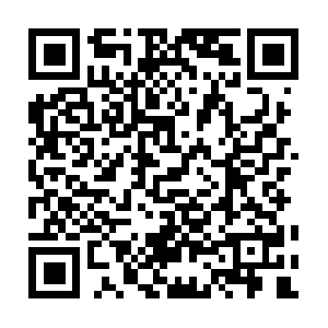 Forum-psychoanalytische-wissenschaft.com QR code