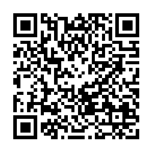 Frankvogelrechtsanwaltsgesellschaft.com QR code