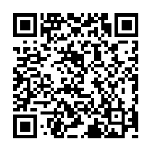 Free-powerpoint-templates-download.com QR code