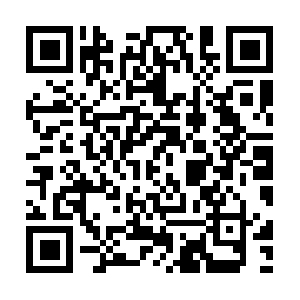 Freeinternetteammoneyonlinewebsite.net QR code