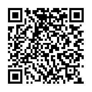 Freelanceinterpreterandtranslator.org QR code