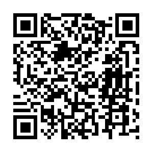 Freepsdtemplatesforphotographers.com QR code