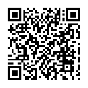 Freestar-zoosk-tagan.adlightning.com QR code