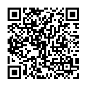 Frenchpublicprocurementtraining.net QR code