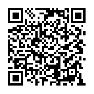 Frisco-child-support-collection-attorney.com QR code