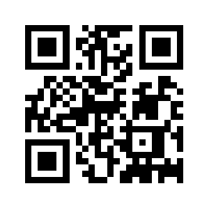 Fsts.biz QR code