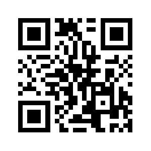 G1005.91p51.com QR code
