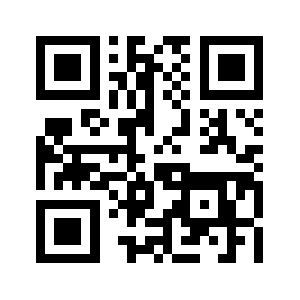 G29izndd.biz QR code