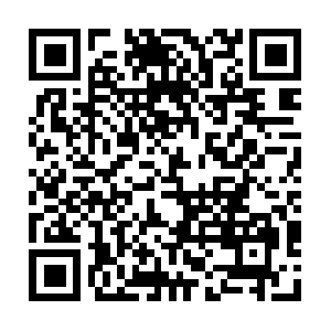 Garagedoorrepaircarpentersville.com QR code