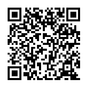 Garciniacambogiavswhitekidneybean.com QR code