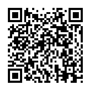 Garminvivofitcustomerservicephonenumber.us QR code