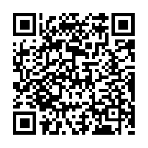 Garystreeserviceandstumpremoval.com QR code