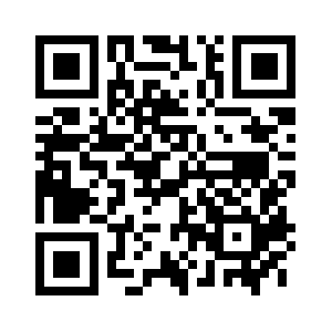 Geoaudiences.com QR code