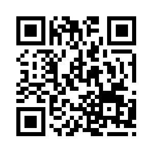 Geoprocesses.com QR code