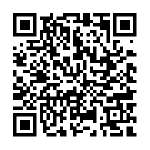 Germanshorthairedpointersforsale.com QR code