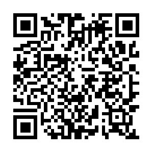 Getpaidwhilefulfillingyourdreams.info QR code