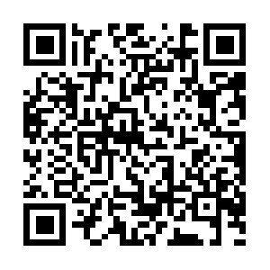 Ginocornejoelalcaldedeguayaquil.com QR code