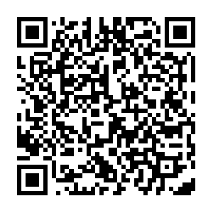 Giphy.com.getcacheddhcpresultsforcurrentconfig QR code