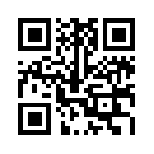 Givebigrls.org QR code