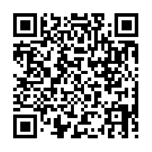 Globalcreativeprofitscreditrepair.com QR code