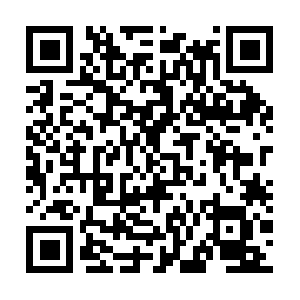 Globaldigitizedperdatafoundation.com QR code