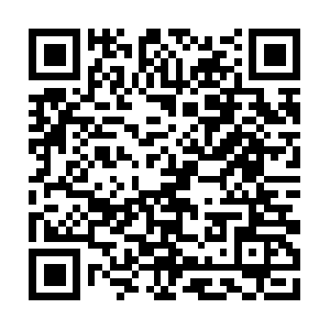 Globalfoodsafetyinitiativeauditing.com QR code