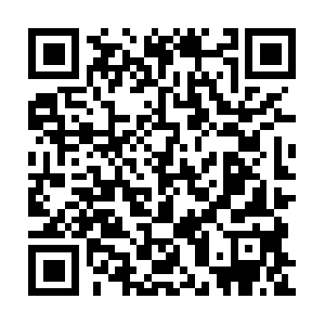 Globalsustainabilityleadersforum.net QR code