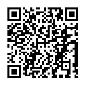 Globalsustainableseafoodinitiative.net QR code
