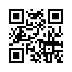 Go333.info QR code