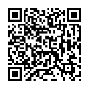 Grandrapidslandscapingservices.info QR code