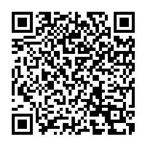 Greatlakessportsmedicinelifeperformanceinstitute.com QR code