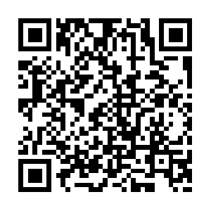 Guiapasoapasoparaganardineroconinternet.net QR code