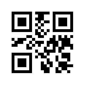 Guidice QR code