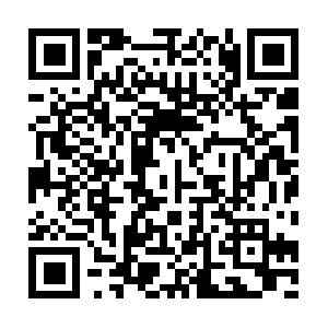 Gyouseishoshi-terashita-jimusho.info QR code