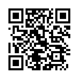 Haarlemmermeerstad.org QR code