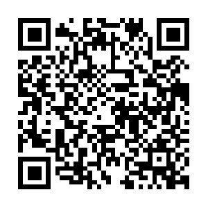 Haartansplantationinfosfuerdich.com QR code