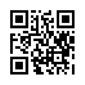 Hadoon.com QR code