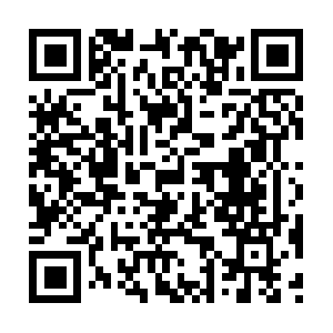 Haryanacollegeoffiresafetymanagement.com QR code