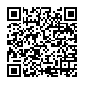 Healthandwealthbusinessopportunity.com QR code