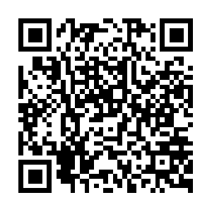 Healthcaredistributorsinternational.org QR code