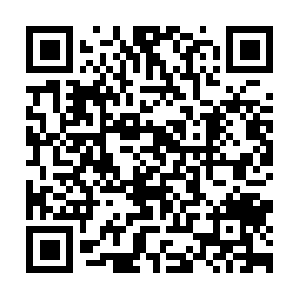 Healthcoachingcertificationboard.info QR code