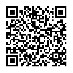 Healthyandnutritiousproductsfordogs.com QR code