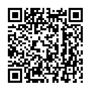 Hillsboroughcountyfloridadivorcemediator.com QR code