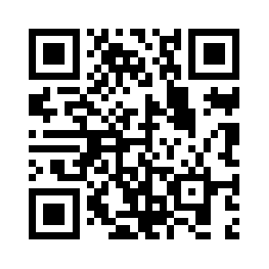 Hokennopoint.info QR code