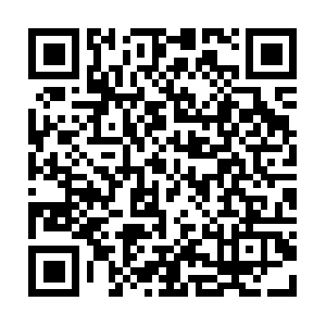 Holiday-systems-international-scam.com QR code